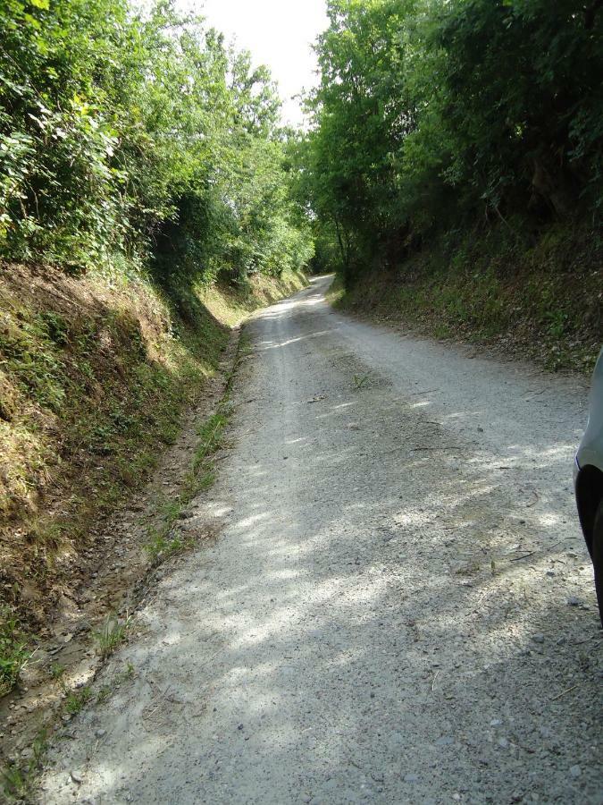 B&B Il Pittore บอร์โก ซาน ลอเรนโซ ภายนอก รูปภาพ